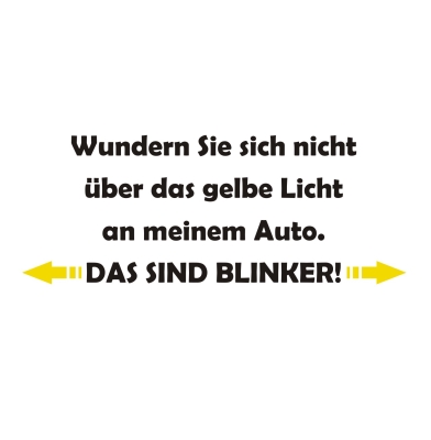 Blinker3.JPG